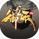 御龙在天